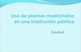 Plantas medicinales usadas en una institucion publica es salud junio 2013