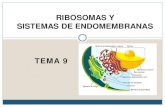 Tema 9. Ribosomas y Sistemas de Endomembranas