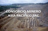 Prospecto minero manganeso, DEPISA I