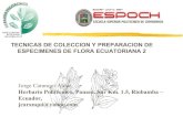 Tecnicascoleccion especimenes botanicos (plantas dificiles) 2