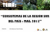 Ecosistemas región Sur del Ecuador, MAE - 2013