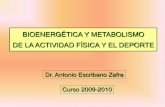 1. Bioenergetica Y Metabolismo De La Actividad Fisica  Apuntes  Cafd Sevilla Curso 2009 2010 1