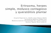 Eritrasma, herpes simple, molusco contagioso y queratolisis plantar