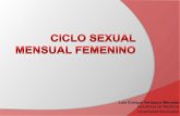 Ciclo sexual mensual femenino
