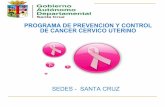 PROGRAMA DE PREVENCION Y CONTROL DE CANCER CERVICO UTERINO