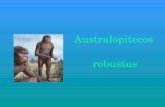 australopithecus robustus