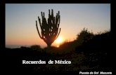 Recuerdos De Mexico