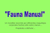 Fauna  Manual