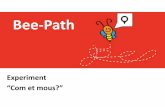 Bee path resum