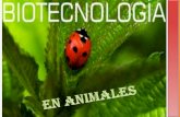 biotecnologia en animales