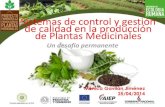 Sistemas de control y gestión de calidad en la producción de plantas medicinales