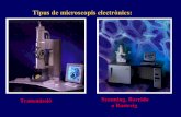 Microscopia electrònica