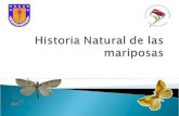 Historia natural de las mariposas