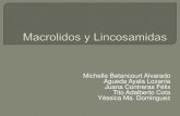Macrolidos y Lincosamidas