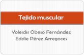 Tejido muscular...by: eddie perez yoleidis obeso