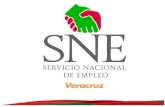 Servicio Nacional de Empleo Veracruz 2013