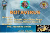 Vacunas rotavirus