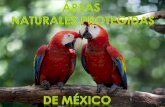 Áreas Naturales Protegidas de México