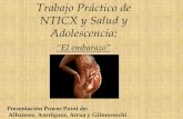 Trabajo Práctico de NTICX y Salud y Adolescencia: "El embarazo"