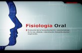 Fisiologia oral
