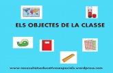 Vocabulari dels objectes de la classe