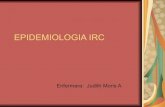 Epidemiologia Insuficiencia Renal Crónica presentacion