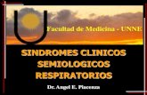 Síndromes clínicos respiratorios-Síndromes pleuropulmonares