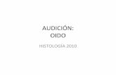Histologia de la_audicion