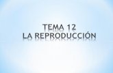 Tema 12.la reproducción