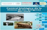 Control biológico de la mosca de los estigmas del maíz 2013