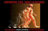 Genesis del ser humano