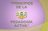 Principios de la pedagogia activa