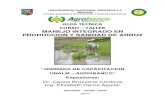 Manejo integrado en_la_produccion_y_sanidad_del_arroz