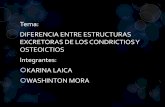 DIFERENCIA ENTRE ESTRUCTURAS EXCRETORAS DE LOS CONDRICTIOS Y OSTEOICTIOS