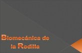 Biomecanica de la_rodilla