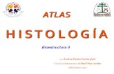 Histología (bioestructura ii) 2007  atlas