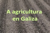 A agricultura en Galiza