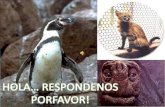 Los Animalitos Del Zoocriadero Tacna