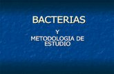 Bacterias y Métodos de Estudio