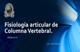 Fisiología Articular Columna Vertebral