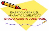 Embriologia DEL APARATO DIGESTIVO