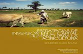Estrategias de inversion en el capital humano caso bolivia arnold hameleers