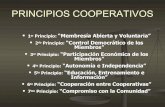 Principios cooperativos y su analisis