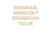 Renovacion, reparación y regeneracion tisular