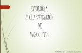 Clasificacion de vasculitis