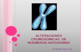 Alteraciones Cromosómicas - Biología