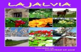 Jalvia16 dic08