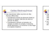 Exposicion De Magda Celdas Electroquimicas