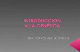 Introducción genética