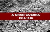 A Gran Guerra (1914-1918)